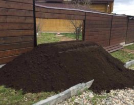 Как понять, что ваша почва требует добавления садового грунта